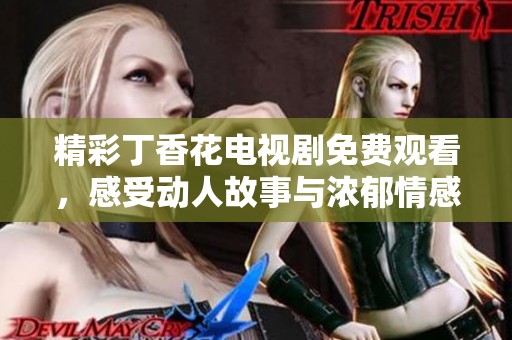 精彩丁香花电视剧免费观看，感受动人故事与浓郁情感
