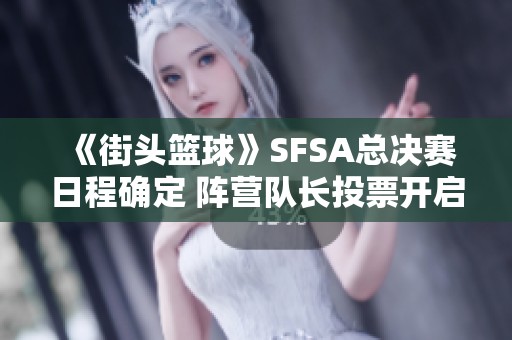 《街头篮球》SFSA总决赛日程确定 阵营队长投票开启时间有限
