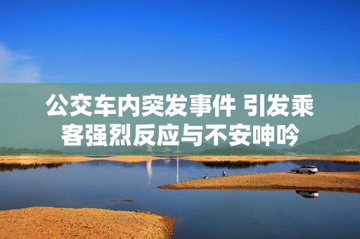 公交车内突发事件 引发乘客强烈反应与不安呻吟