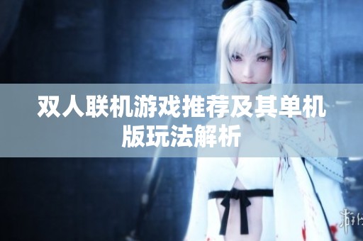 双人联机游戏推荐及其单机版玩法解析