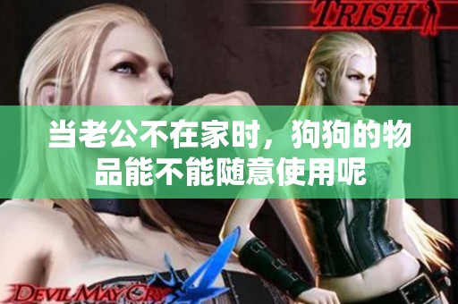 当老公不在家时，狗狗的物品能不能随意使用呢