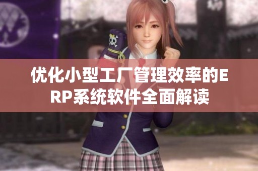 优化小型工厂管理效率的ERP系统软件全面解读