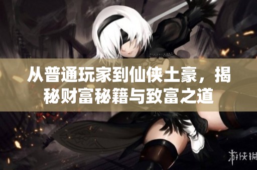 从普通玩家到仙侠土豪，揭秘财富秘籍与致富之道