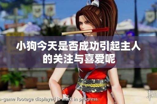 小狗今天是否成功引起主人的关注与喜爱呢