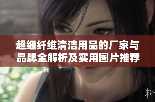 超细纤维清洁用品的厂家与品牌全解析及实用图片推荐