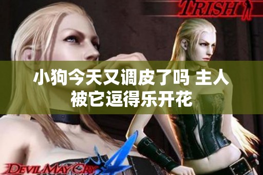 小狗今天又调皮了吗 主人被它逗得乐开花