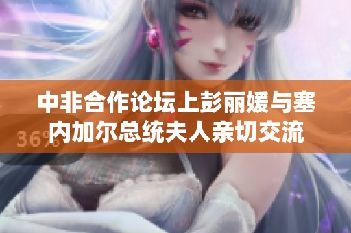 中非合作论坛上彭丽媛与塞内加尔总统夫人亲切交流