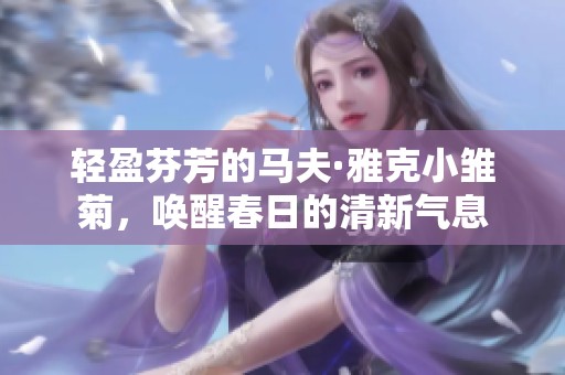 轻盈芬芳的马夫·雅克小雏菊，唤醒春日的清新气息