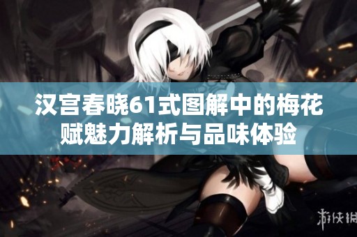 汉宫春晓61式图解中的梅花赋魅力解析与品味体验