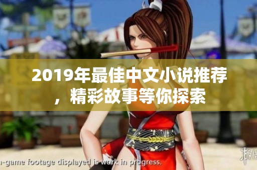 2019年最佳中文小说推荐，精彩故事等你探索
