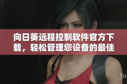 向日葵远程控制软件官方下载，轻松管理您设备的最佳选择