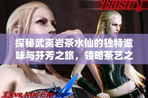 探秘武夷岩茶水仙的独特滋味与芬芳之旅，领略茶艺之美