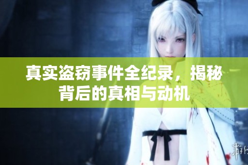 真实盗窃事件全纪录，揭秘背后的真相与动机