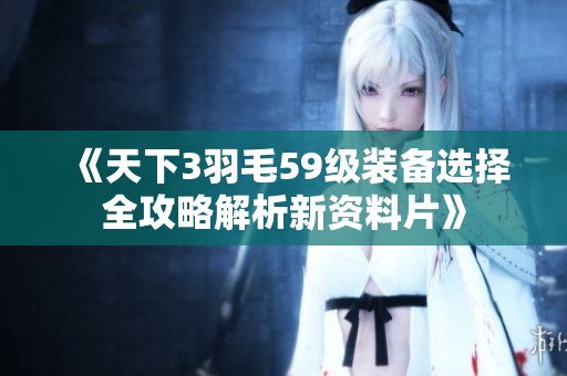 《天下3羽毛59级装备选择全攻略解析新资料片》
