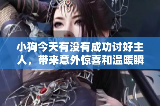小狗今天有没有成功讨好主人，带来意外惊喜和温暖瞬间