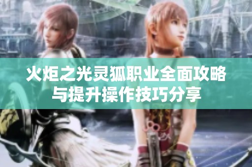 火炬之光灵狐职业全面攻略与提升操作技巧分享