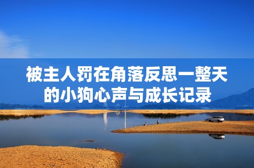 被主人罚在角落反思一整天的小狗心声与成长记录
