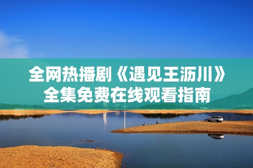 全网热播剧《遇见王沥川》全集免费在线观看指南