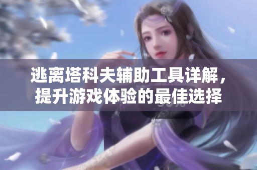 逃离塔科夫辅助工具详解，提升游戏体验的最佳选择