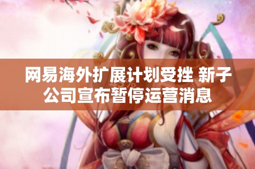 网易海外扩展计划受挫 新子公司宣布暂停运营消息