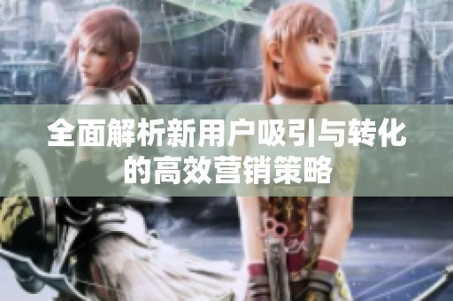 全面解析新用户吸引与转化的高效营销策略