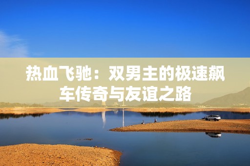 热血飞驰：双男主的极速飙车传奇与友谊之路