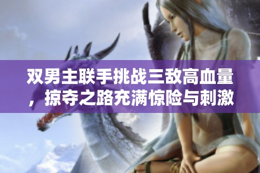 双男主联手挑战三敌高血量，掠夺之路充满惊险与刺激