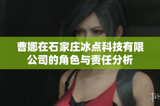 曹娜在石家庄冰点科技有限公司的角色与责任分析