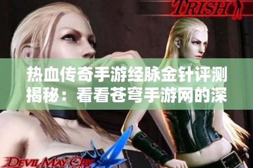 热血传奇手游经脉金针评测揭秘：看看苍穹手游网的深度分析
