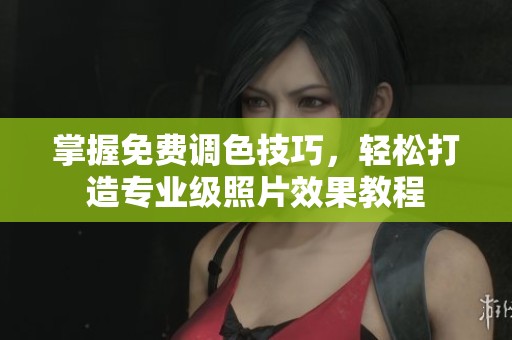 掌握免费调色技巧，轻松打造专业级照片效果教程
