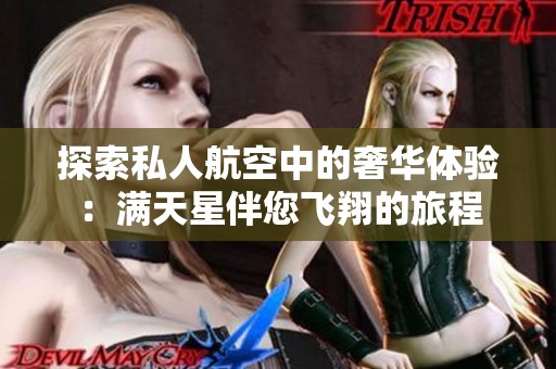 探索私人航空中的奢华体验：满天星伴您飞翔的旅程