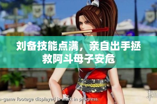 刘备技能点满，亲自出手拯救阿斗母子安危