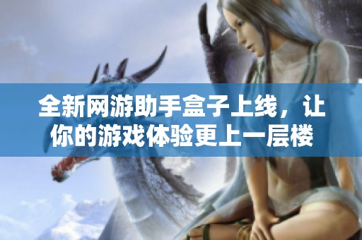 全新网游助手盒子上线，让你的游戏体验更上一层楼