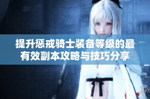 提升惩戒骑士装备等级的最有效副本攻略与技巧分享