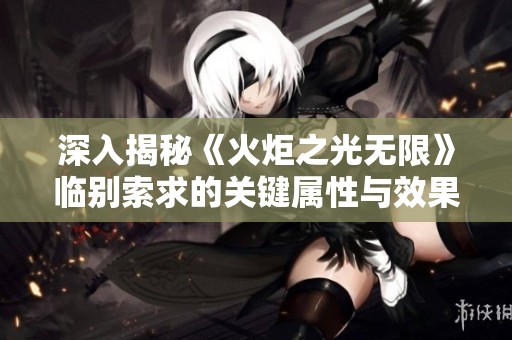 深入揭秘《火炬之光无限》临别索求的关键属性与效果分析