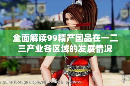 全面解读99精产国品在一二三产业各区域的发展情况