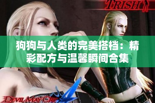 狗狗与人类的完美搭档：精彩配方与温馨瞬间合集