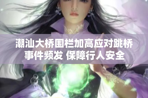 潮汕大桥围栏加高应对跳桥事件频发 保障行人安全