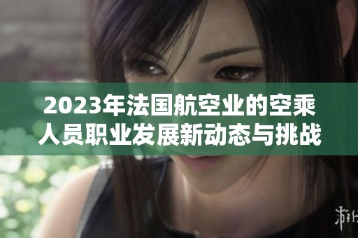 2023年法国航空业的空乘人员职业发展新动态与挑战