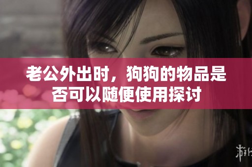 老公外出时，狗狗的物品是否可以随便使用探讨