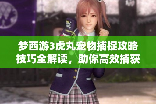 梦西游3虎丸宠物捕捉攻略技巧全解读，助你高效捕获超强伙伴