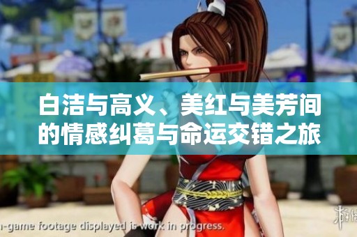 白洁与高义、美红与美芳间的情感纠葛与命运交错之旅