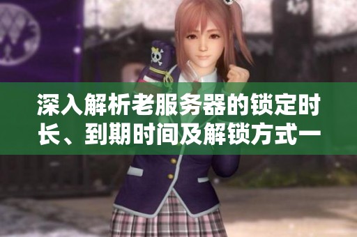 深入解析老服务器的锁定时长、到期时间及解锁方式一览
