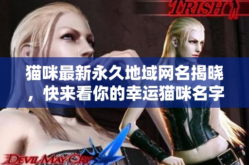 猫咪最新永久地域网名揭晓，快来看你的幸运猫咪名字！