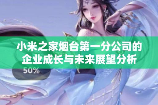 小米之家烟台第一分公司的企业成长与未来展望分析