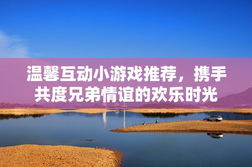 温馨互动小游戏推荐，携手共度兄弟情谊的欢乐时光