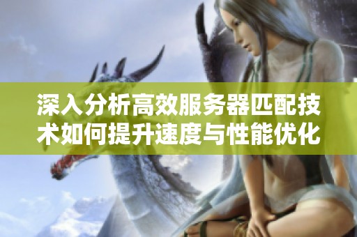 深入分析高效服务器匹配技术如何提升速度与性能优化