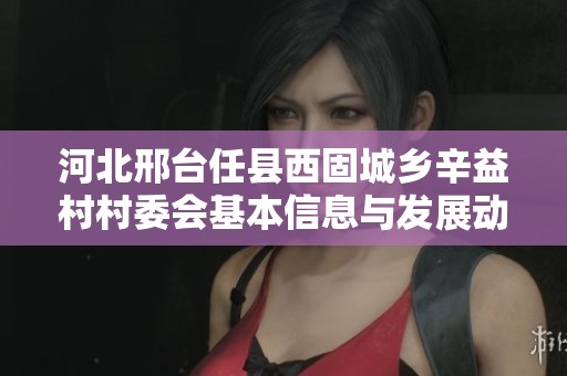 河北邢台任县西固城乡辛益村村委会基本信息与发展动态分析